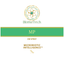 MP