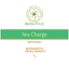 Sea Charge